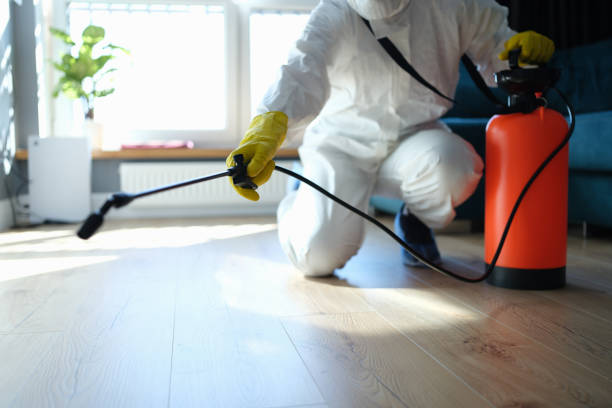 Flea Control Services in Lofall, WA