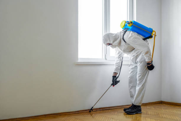 Best Termite Control Services  in Lofall, WA