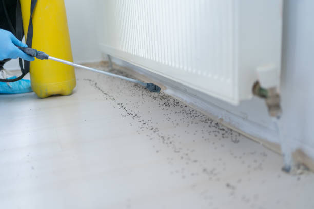 Best Local Pest Control Services  in Lofall, WA