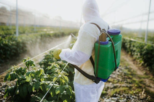 Best Insect Control  in Lofall, WA
